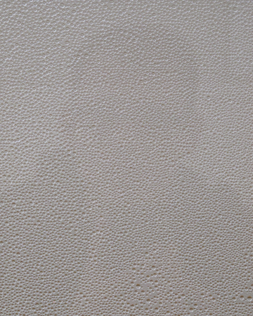  Self Portrait with Hans Haacke. Temporary Stedelijk Museum, Amsterdam