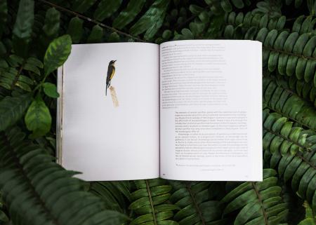  Three Becomes One Becomes None