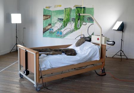  Get Well Soon, a hospital musical in four parts