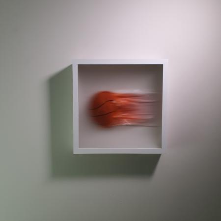  Basketbal in motion