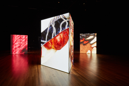  Eerst Zien dan Geloven