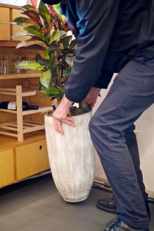  Acts of Opening #2: Kunst_Planten