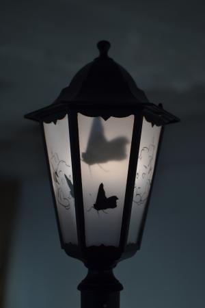  Lullabies - Lantern n.1