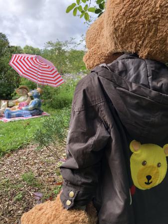  Teddy Bear's picnic