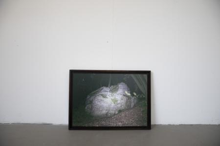  In The Forest Behind My Father's House