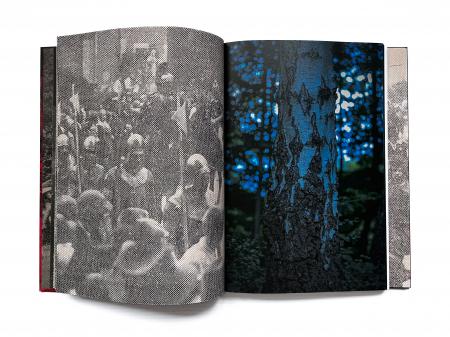 page from photobook Drakeblood   page from photobook Drakeblood