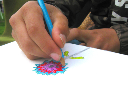  Schilderswijkse bloemetjes tekenen