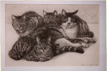 Vier Katten