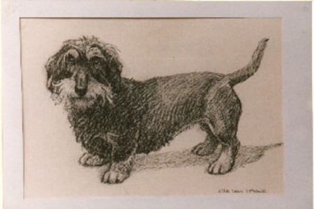  Hond