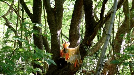  Audrey & I, our histories tied