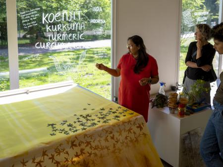 Curcuma Longa Characters  Curcuma Longa Characters