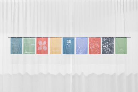 Single Framing: Second by Second  Single Framing: Second by Second