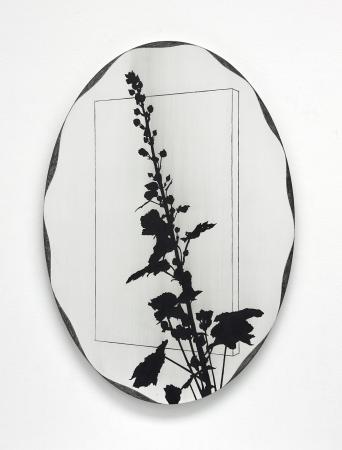  July memories, now the tribute to our very first hollyhock!