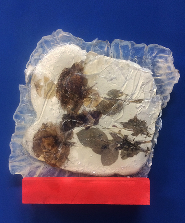  The Blue Room (detail)