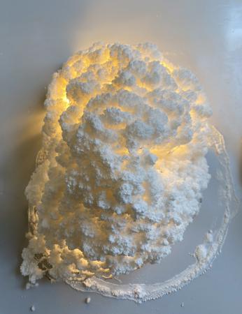  Zout Cumulus I