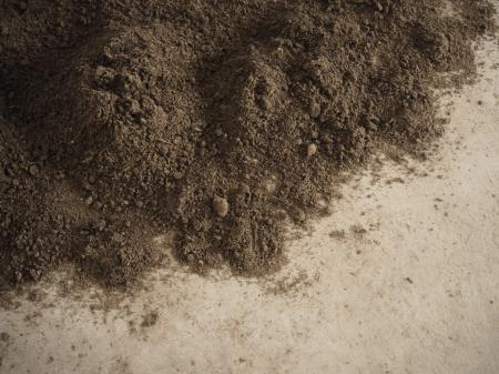  Maybe Tomorrow The Sun will be warm