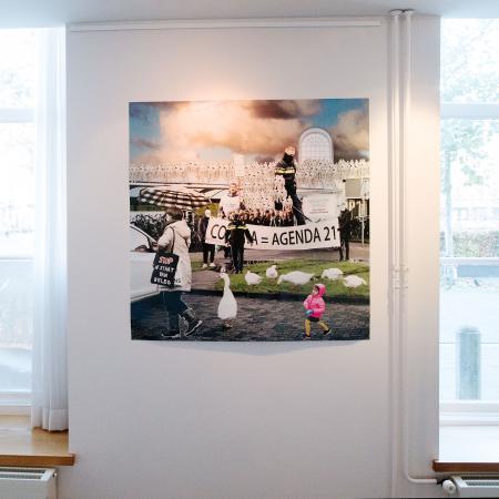  Reality seems well defined