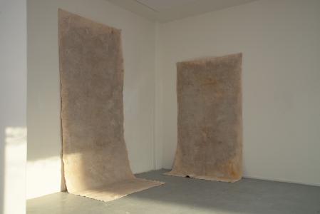  Around the Clay –  Archive Rotterdam, 2025