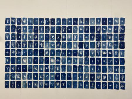  Cyanotypes van straatgras