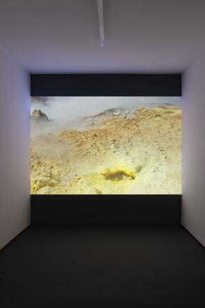  Blossoms and fruits at once