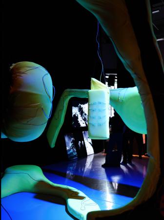  The Collective Algorithm of Care