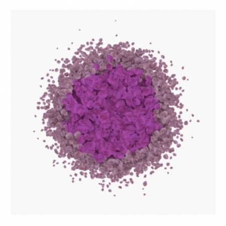  Vallende bladeren (Bougainville)