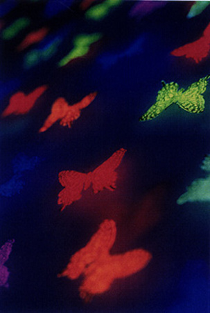 Butterfield (detail)