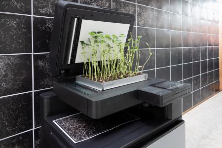  Radix Morgana Zoetermeer (detail)