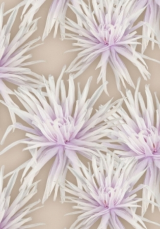  Textile flower print