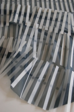  Stripe application