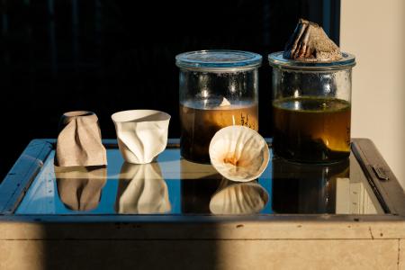  Still-Life, next level future paleo porcelain 2025 artist-in-residency at Cool Clay Collective, Rotterdam, 2025