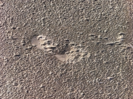  Traces #7