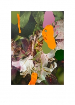  The light she brings