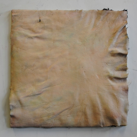  skin painting