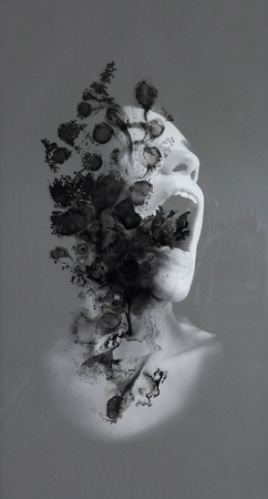  "Study of the psychological interpretation of inkblots" _ Lost identity