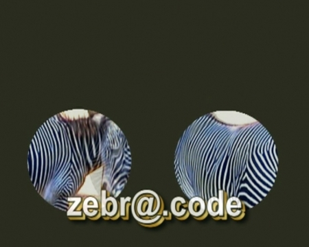  zebr@code