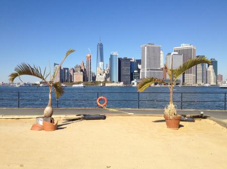  A taste of the Anthropocene, artist-in-residenct New York City