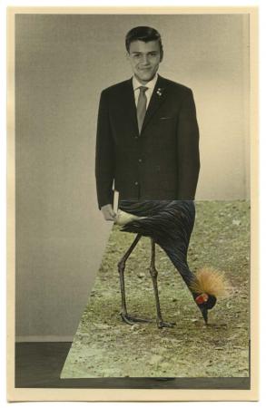  Half of them down to the navel bares the figure of a man, while the other half is that of a bird