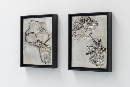  Blossomed (links), Bloom (rechts)