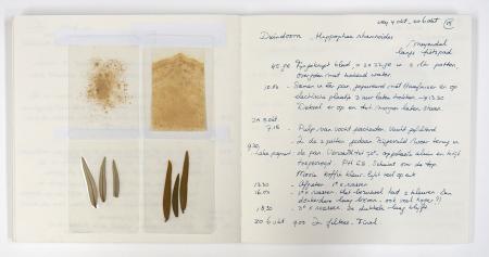  COLLECTING COLOUR Lake Pigment receptenboek, pag. duindoornblad.