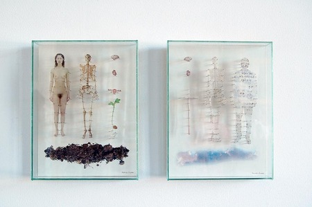  'Waar zij vandaan komt' en 'Waar hij van