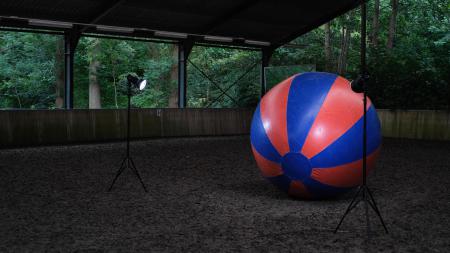  A horse is a horse of course of course