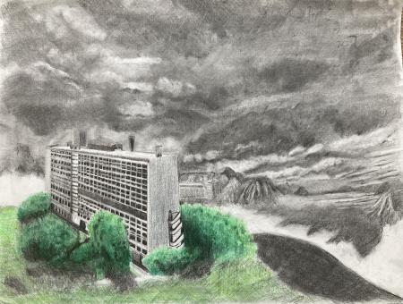  "Habitat Lost" series