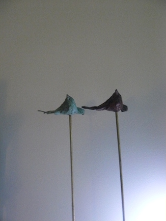  vogels