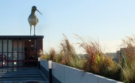  Weidsheid / Hemelgeit