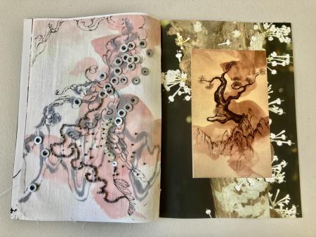  collection book 2022