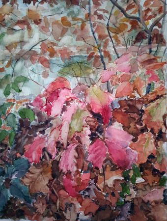  Herfst