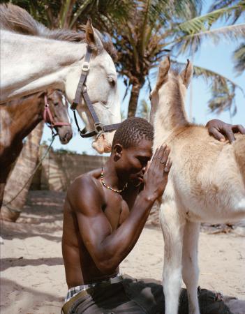  Aikins, Rose and Ramadan blaze