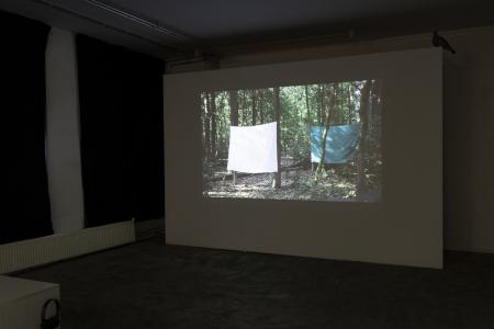  Getting inside the head of an ox