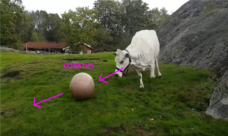  What Is That We Are Doing With Life?